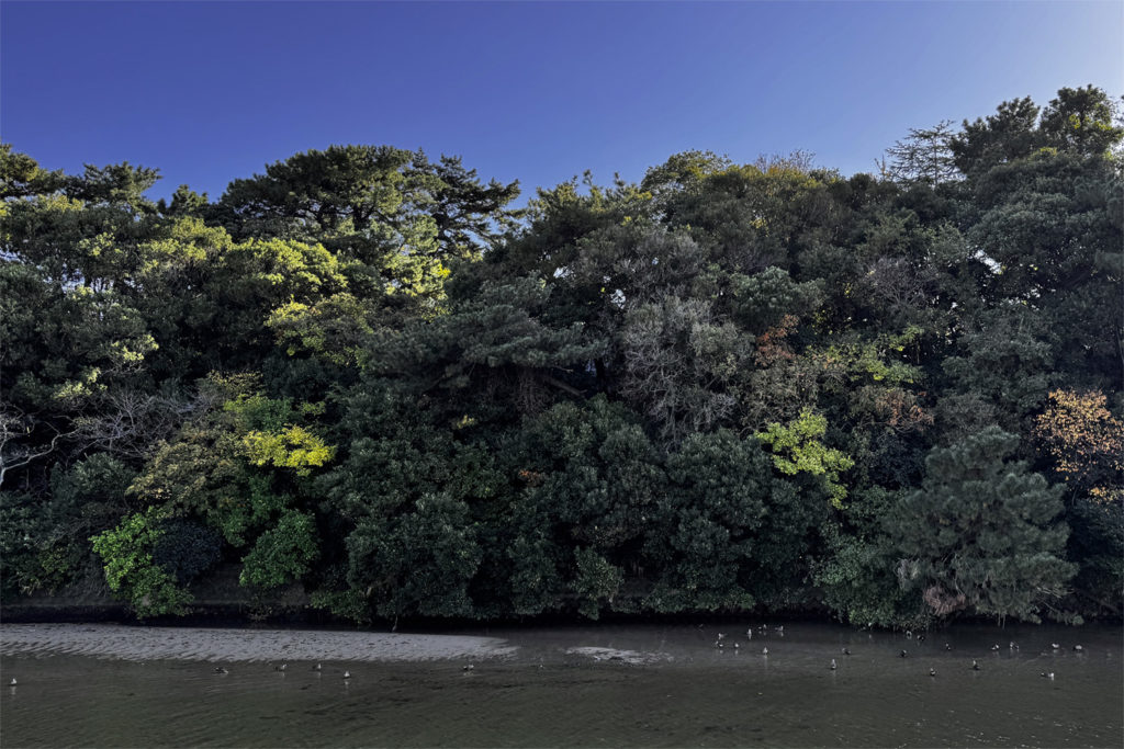 Piilo・AOZORADO・藍昊堂菓子舗